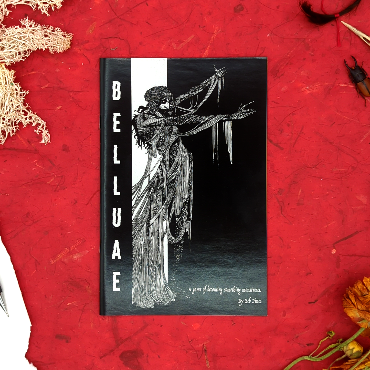 Belluae